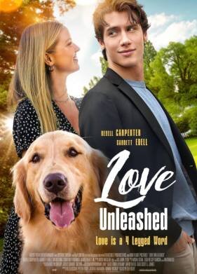 В поисках любви