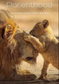 Родительство